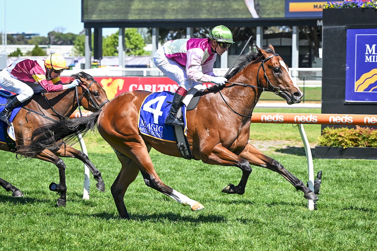Coleman & Ben Melham, Debutant Stakes Coleman & Ben Melham, Debutant Stakes